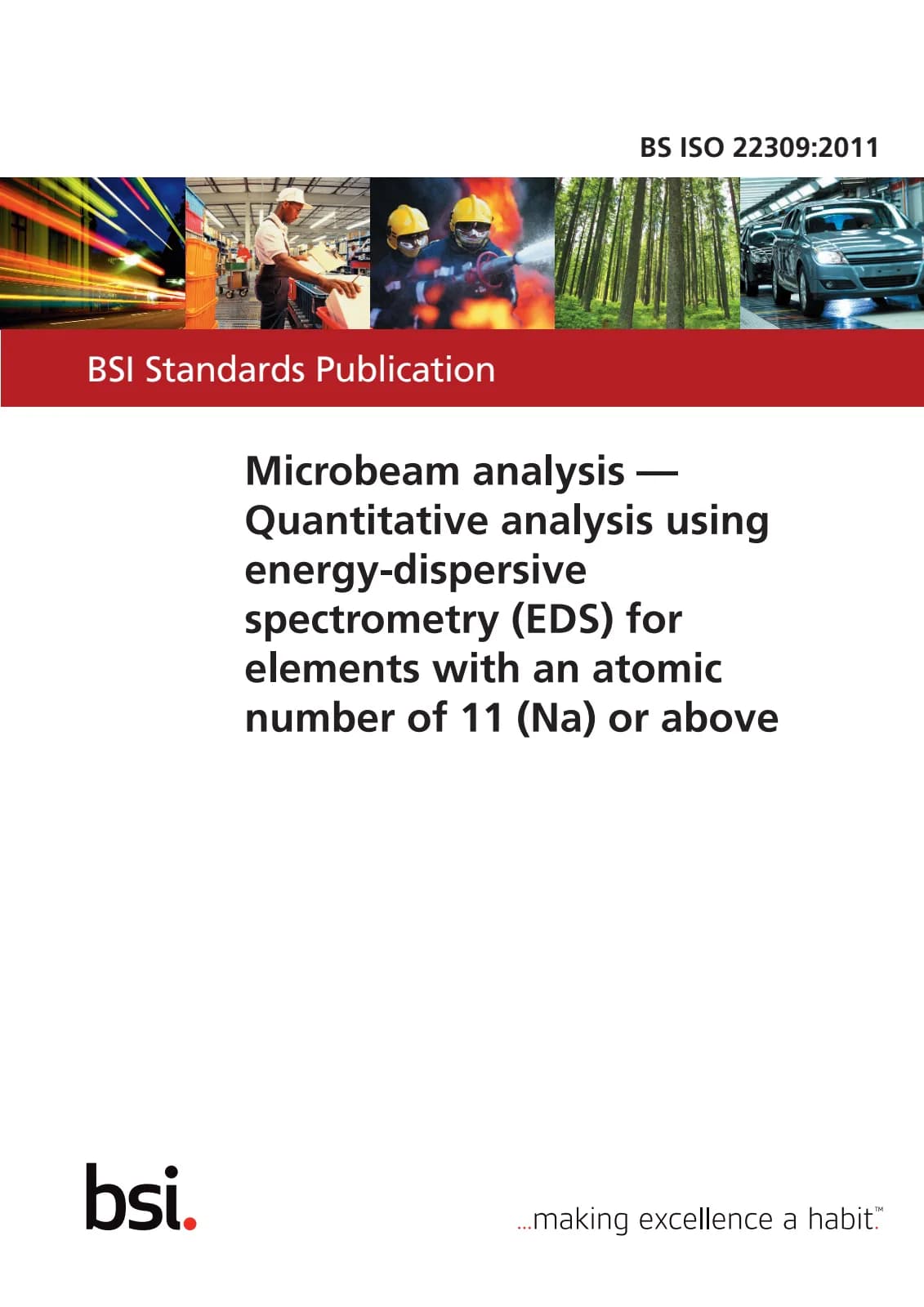 Первая страница стандарта BS ISO 22309:2011